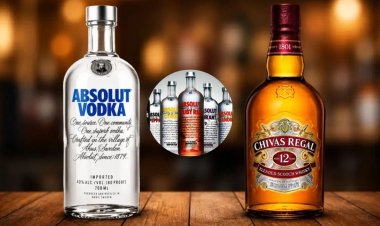 दिल्ली में नहीं मिलेगी Absolut Vodka! 3000 करोड़ टैक्स केस में कंपनी को बड़ा झटका