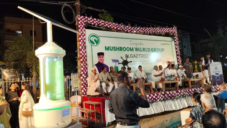 भोपाल बना देश का पहला शहर, जहां लगी कार्बन कैप्चरिंग टेक्नोलॉजी 'एल्गी ट्री'