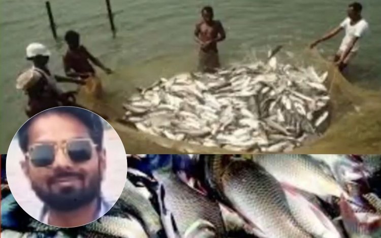 MP के बांधों में मछली उत्पादन घोटाला, नियमों को ताक पर रख किया जा रहा करोड़ों का खेल