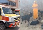 रीवा: शव वाहन से 6 बकरियों की चोरी, चालक गिरफ्तार, दो आरोपी फरार