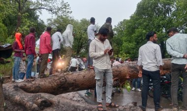 शाजापुर में मौसम का रौद्र रूप तेज आंधी-तूफान के साथ झमाझम बारिश