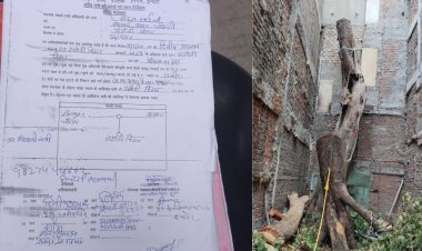 इंदौर में पेड़ कटाई पर निगम की बड़ी कार्रवाई, बिना अनुमति पेड़ काटने पर ₹1.5 लाख जुर्माना