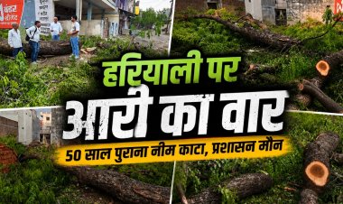 शाजापुर में 50 साल पुराना नीम का पेड़ काटा गया, अवैध कटाई पर उठे सवाल