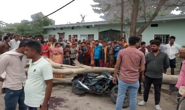 चलती बाइक पर पेड़ गिरा, युवक और युवती की मौत 2 की हालत गंभीर 