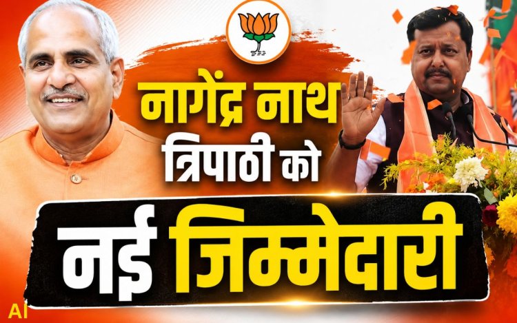 BJP में बड़ा संगठनात्मक बदलाव, नागेंद्र नाथ त्रिपाठी को नई जिम्मेदारी