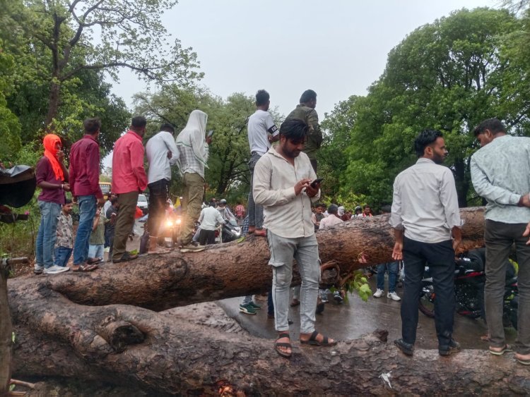 शाजापुर में मौसम का रौद्र रूप तेज आंधी-तूफान के साथ झमाझम बारिश