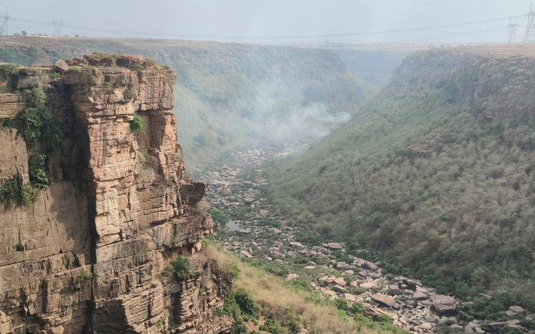 मऊगंज: बहुती जंगल में भीषण आग, करोड़ों की वन संपदा खाक, वन विभाग की लापरवाही पर उठे सवाल