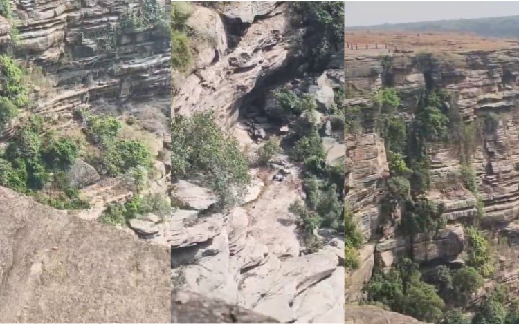 रीवा में दर्दनाक हादसा: क्योटी वाटरफॉल की खाई में गिरने से 2 युवकों की जान गई