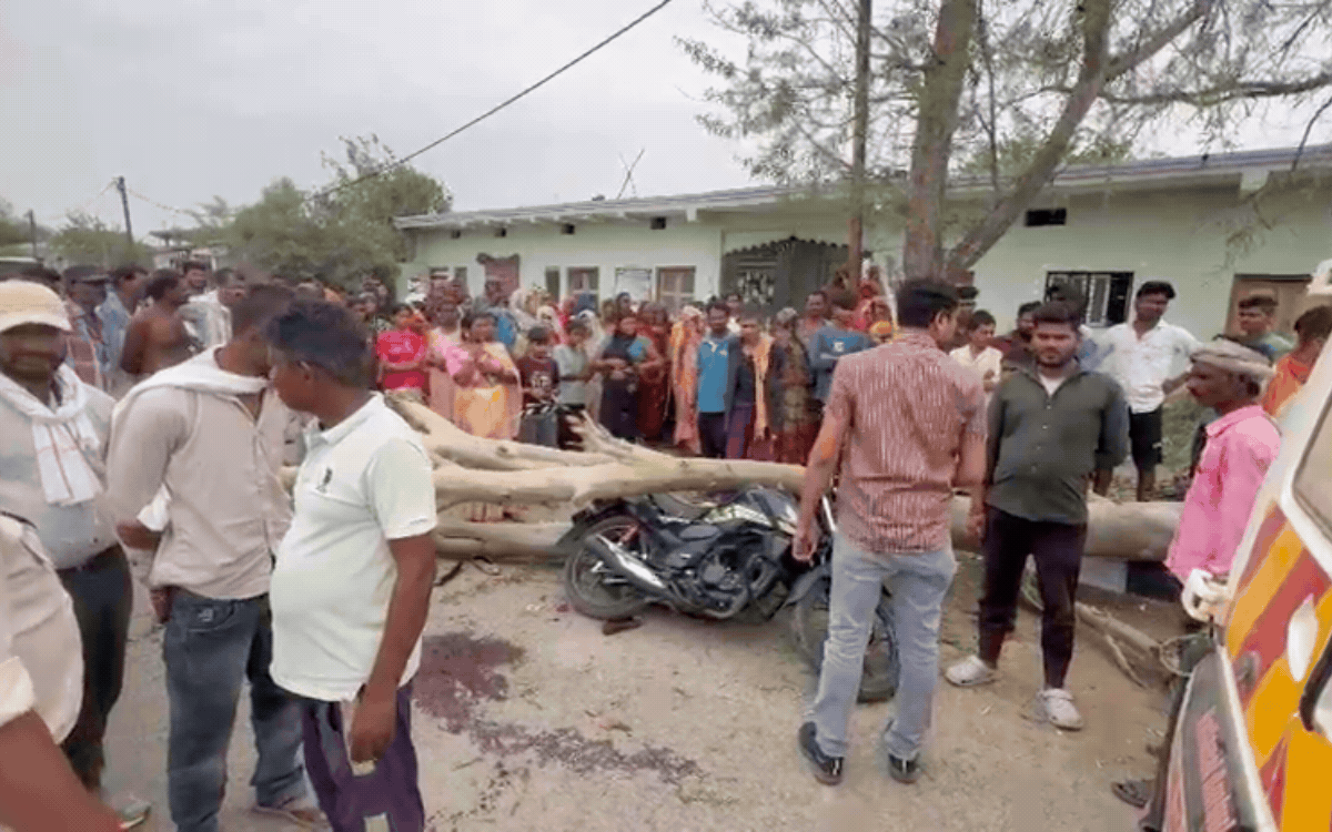 चलती बाइक पर पेड़ गिरा, युवक और युवती की मौत 2 की हालत गंभीर 