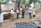 चौकीदार ही निकला बाघ का शिकारी, लाश पर उग आई थी घास