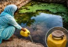 मऊगंज की 'नई दिल्ली' में इंसान-जानवर एक ही कुंड का पानी पी रहे, हर घर नल योजना पर सवाल