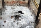 मुक्तिधाम में अस्थियों के बीच मिला नारियल-नींबू और कपड़ा, तांत्रिक क्रिया की आशंका पर पुलिस जांच शुरू