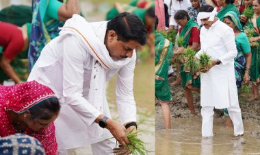 CM डॉ. मोहन यादव ने किसानों के साथ खेत में रोपा धान, सिवनी में धान महोत्सव का शुभारंभ