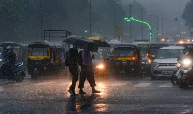 MP में मानसून एक्टिव: 13 जिलों में भारी बारिश का अलर्ट, इंदौर में तेज बारिश से कई इलाकों की सड़कें जलमग्न