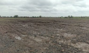 विदिशा: सिरोंज में वन विभाग की 1700 बीघा जमीन पर कब्जा, सड़क किनारे ट्रैक्टर से हो रही खेती; विधायक ने अधिकारियों पर उठाए सवाल