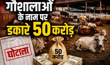 मऊगंज में गौशाला अनुदान में 50 करोड़ के फर्जीवाड़े का आरोप