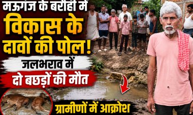 पहली बारिश में खुली विकास के दावों की पोल, जलभराव में दो बछड़ों की मौत