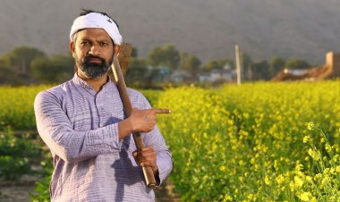 मध्य प्रदेश में धीमा पड़ा मानसून, 7% कम बारिश से बढ़ी किसानों की चिंता, 21 जिलों में हल्की बारिश का अलर्ट