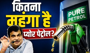 Pure Petrol vs E20 Petrol: कितना महंगा पड़ेगा प्योर पेट्रोल? जानिए कीमत, फायदे और सरकार का क्या है दावा
