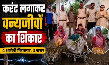 मैहर में करंट से वन्यजीवों का शिकार, तेंदुए के अवयव मिलने की आशंका, चार आरोपी गिरफ्तार