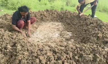 मौत के 20 दिन बाद कब्र से निकाला गया शव, Rewa में संदिग्ध मौत की जांच शुरू