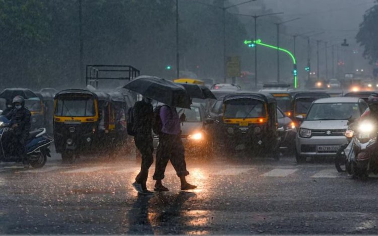 MP में मानसून एक्टिव: 13 जिलों में भारी बारिश का अलर्ट, इंदौर में तेज बारिश से कई इलाकों की सड़कें जलमग्न