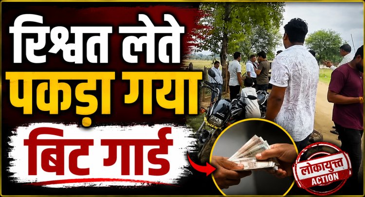 Singrauli में लोकायुक्त का बड़ा एक्शन. रिश्वत लेते बिट गार्ड गिरफ्तार.