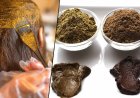 How to Apply Mehndi on Hairs : बालों में मेहंदी लगाने का क्या है सही तरीका, जानें एक्सपर्ट की जरूरी सलाह