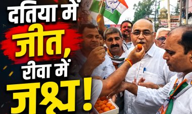 दतिया उपचुनाव जीत के बाद रीवा में कांग्रेस का जश्न, कार्यकर्ताओं ने बांटी मिठाई