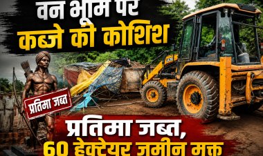 मैहर में वन भूमि पर कब्जे को लेकर बवाल, प्रशासन की संयुक्त कार्रवाई में 60 हेक्टेयर जमीन मुक्त