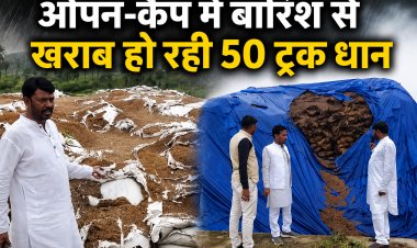 डिंडोरी में बारिश में खराब हो रही 50 ट्रक धान, अधिकारी बोले- 5-6 साल पुरानी है