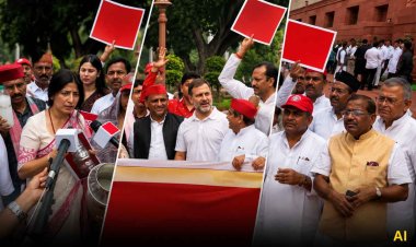 संसद में फिर हंगामा, विपक्ष के प्रदर्शन से लोकसभा-राज्यसभा की कार्यवाही 2 बजे तक स्थगित; प्रियंका बोलीं- शाह के बयान तक गतिरोध जारी