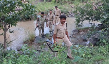 MP-UP बॉर्डर के जंगल में संदिग्धों की तलाश, पुलिस ने की सर्चिंग