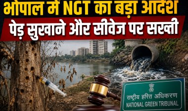 भोपाल में पेड़ों को रसायन से सुखाने का मामला, NGT सख्त