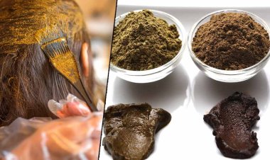 How to Apply Mehndi on Hairs : बालों में मेहंदी लगाने का क्या है सही तरीका, जानें एक्सपर्ट की जरूरी सलाह