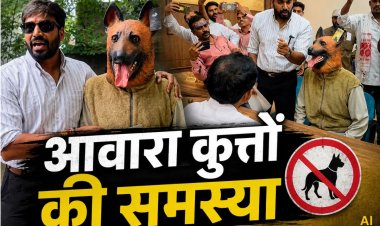 खंडवा में आवारा कुत्तों के मुद्दे पर अनोखा प्रदर्शन, कुत्ते का रूप बनाकर जनसुनवाई में पहुंचे नेता प्रतिपक्ष
