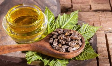 Castor Oil Benefits : त्वचा और बालों के लिए वरदान अरंडी का तेल, जानिए क्या है इसके फायदे