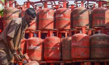 LPG Cylinder Price : शुगर के बाद क्या LPG के भी बढ़े दाम? चेक करें आपके शहर का लेटेस्ट रेट?