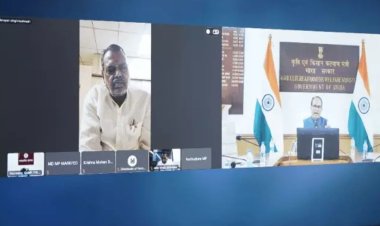 MP Moong Procurement : मूंग खरीदी में मप्र ने बनाया रिकॉर्ड, 5.33 लाख टन से ज्यादा खरीदी; केंद्रीय मंत्री ने की समीक्षा