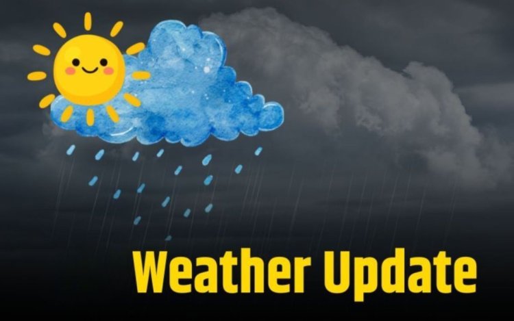 MP Rain Alert: 4-5 अगस्त को होगी भारी बारिश, नदियां-नाले उफान पर, 42 जिलों में सामान्य से कम बारिश