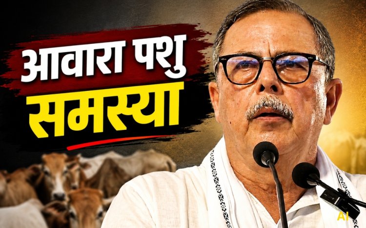 आवारा पशुओं की समस्या पर अजय सिंह का सरकार पर हमला, बोले- विधानसभा के आश्वासन खोखले साबित हुए