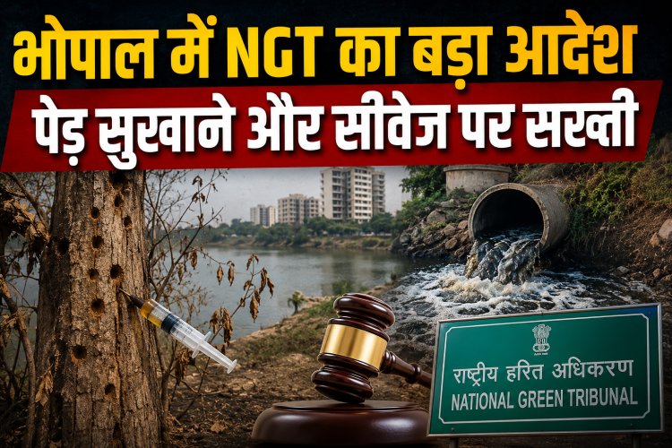 भोपाल में पेड़ों को रसायन से सुखाने का मामला, NGT सख्त