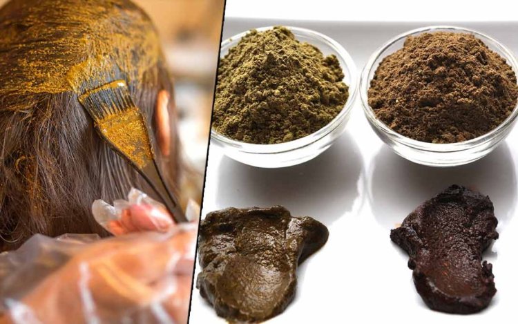 How to Apply Mehndi on Hairs : बालों में मेहंदी लगाने का क्या है सही तरीका, जानें एक्सपर्ट की जरूरी सलाह