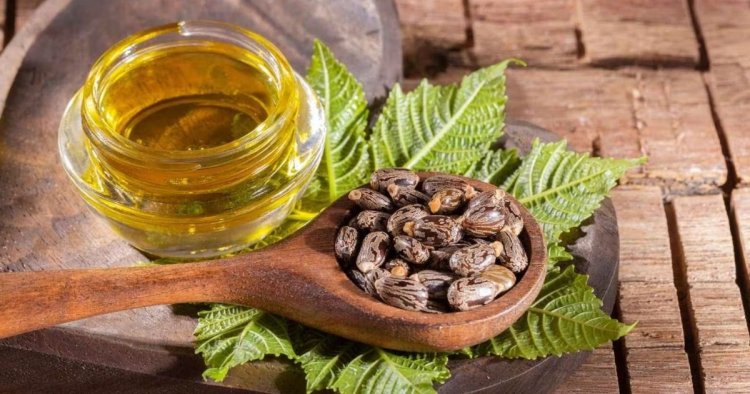 Castor Oil Benefits : त्वचा और बालों के लिए वरदान अरंडी का तेल, जानिए क्या है इसके फायदे