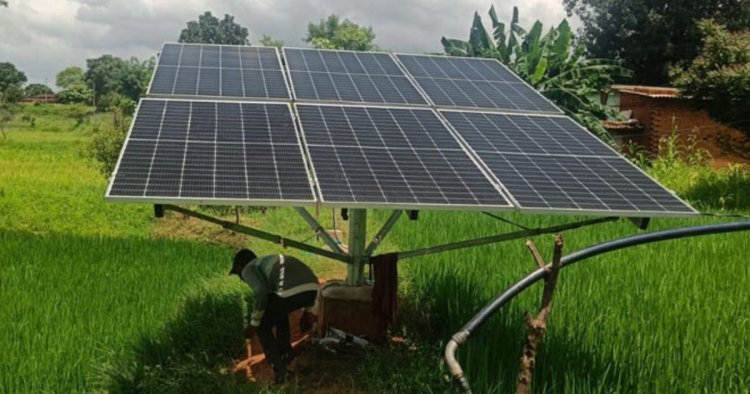 Bio Solar Technology : क्या है Bio Solar टेक्नोलॉजी? जानें कैसे इससे बढ़ जाती है सोलर पैनल की ताकत