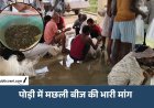 पोड़ी मत्स्य केंद्र में मछली बीज का बंपर उत्पादन: 53.98 लाख बीज की बिक्री, 2.5 करोड़ का लक्ष्य
