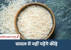 सालों- साल चलेंगे चावल: इन तरीकों को अपनाकर बढ़ाएं चावल की सेहत