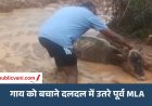 कीचड़ में उतरे पूर्व विधायक: दलदल में फंसी गाय, कड़ी मशक्कत के बाद किया रेस्क्यू