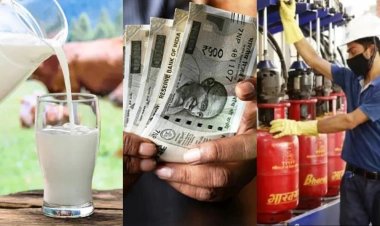 1 सितंबर से महंगाई का असर: LPG सिलेंडर, Tata-Hyundai की कारें और मुंबई में दूध महंगा, जानें क्या-क्या बदला
