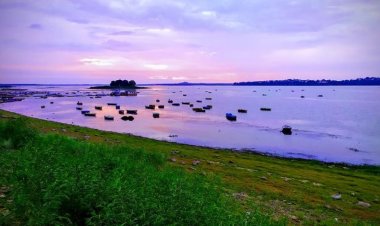 Bhoj Wetland पर NGT सख्त, अवैध निर्माण और अतिक्रमण हटाने के आदेश; अधिकारियों की तय होगी जवाबदेही